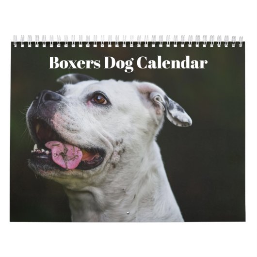 Boxers Honden Kalender 2025 (Hoes)