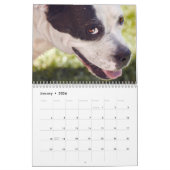 Boxers Honden Kalender 2025 (Jan 2026)