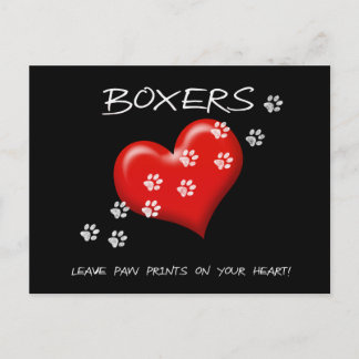 Boxers laten poetafdrukken achter op onze briefkaa briefkaart