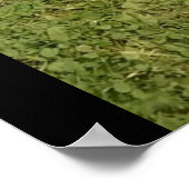 BOXERS ZIJN SPECIALE posters (Hoek)