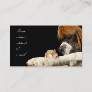 Boxeur avec le carte de visite de hamster