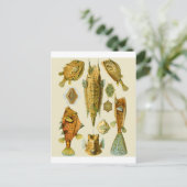 Boxfish of Cowfish Briefkaart (Staand voorkant)