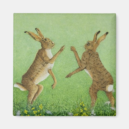 Boxing Clever Magneet (Voorkant)