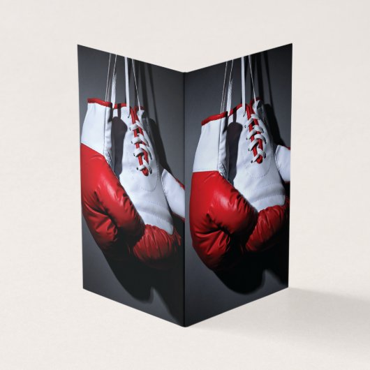 Boxing gloves (Outside)