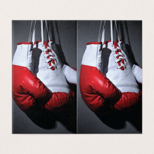 Boxing gloves (Outside Unfolded)
