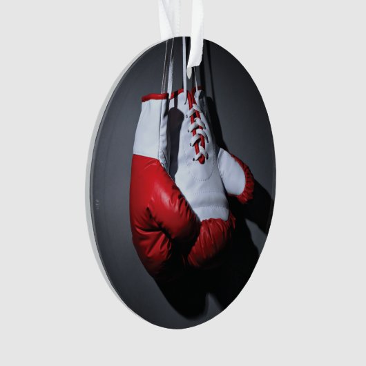 Boxing gloves  (devant)