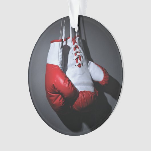 Boxing gloves  (devant)