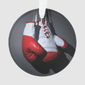 Boxing gloves  (devant)