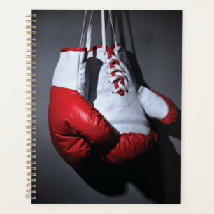Boxing gloves