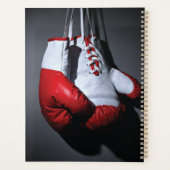 Boxing gloves (Dos)