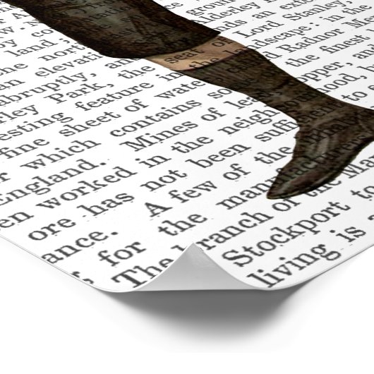 Boxing Hare Poster (Hoek)