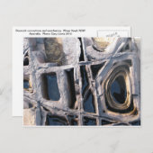 Boxwork Concretions on Wasp Head Briefkaart (Voorkant / Achterkant)