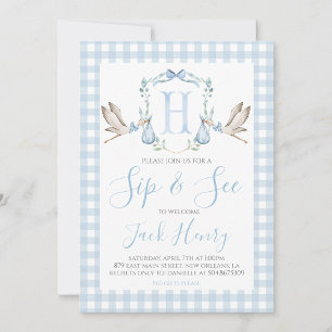 Boy Stork Preppy Gingham Blue Sip & See Kaart