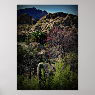 Boyce Thompson Arboretum Poster