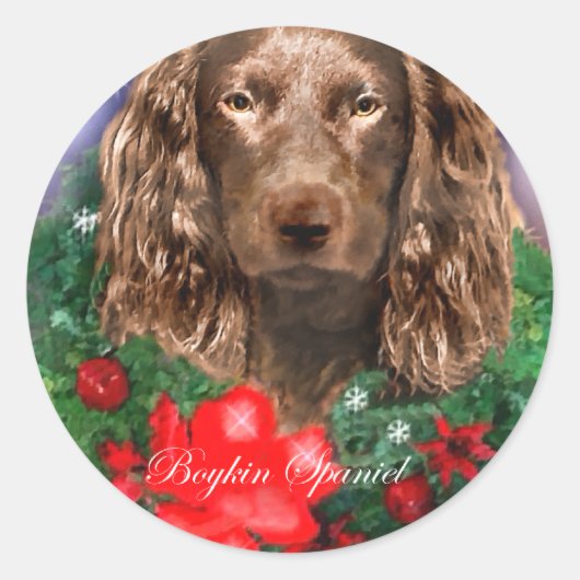 Boykin-kerstcadeautjes voor Spanjaarden Ronde Sticker (Voorkant)