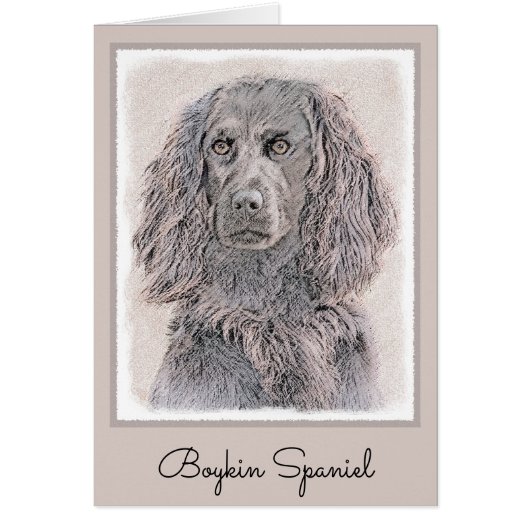 Boykin Peinture Espagnole - Cute Original Chien Ar (Devant)
