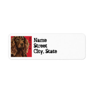 Boykin Spaniel Color Block Etiket