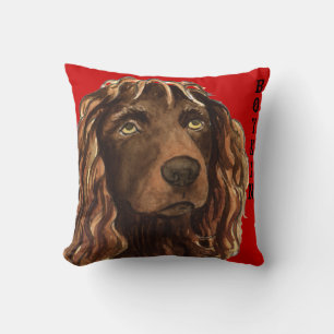 Boykin Spaniel Color Block Kussen