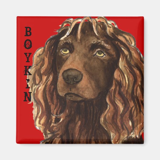 Boykin Spaniel Color Block Magneet (Voorkant)