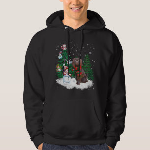 Boykin Spaniel Dog kerstmis Snowman - boom Paj Hoodie