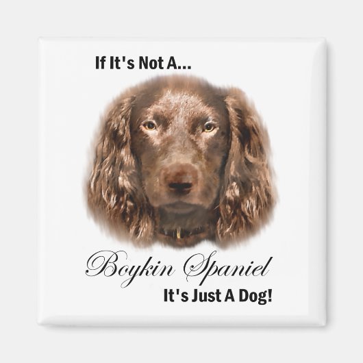 Boykin Spaniel Gifts Magneet (Voorkant)
