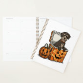 Boykin Spaniel Halloween (Devant avec enveloppe)