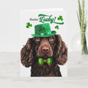 Boykin Spaniel Hond Gelukkig St. Patrick's Day Feestdagen Kaart