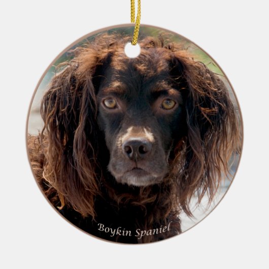 Boykin Spaniel kerstversiering Keramisch Ornament (Voorkant)