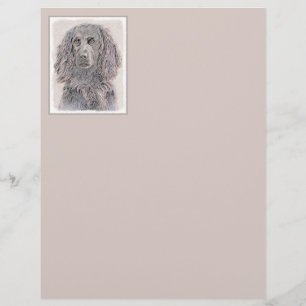 Boykin Spaniel Schilderen - Kute Original Dog Art