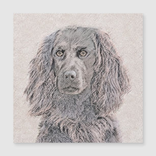 Boykin Spaniel Schilderen - Kute Original Dog Art