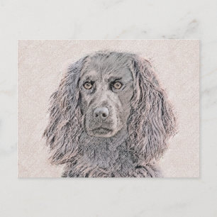 Boykin Spaniel Schilderen - Kute Original Dog Art Briefkaart