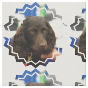 Boykin Spaniel Stof