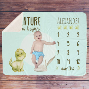 Boy's Cute T Rex Dinosaur Baby Milestone Sherpa Deken