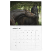 Boyz Forêt - Calendrier Céleste de la Patrie (Feb 2027)