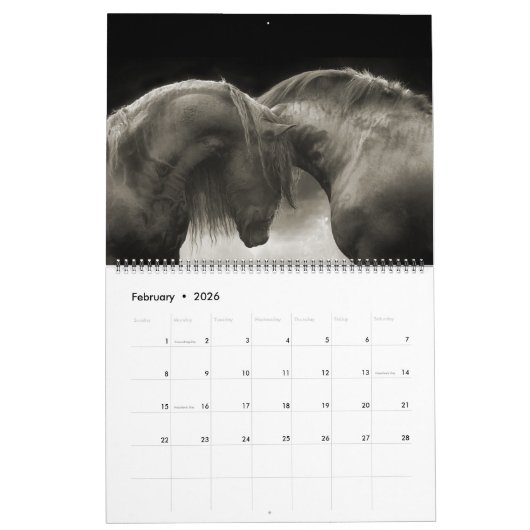 Boyz Forêt - Calendrier Jamais Seul (Feb 2026)