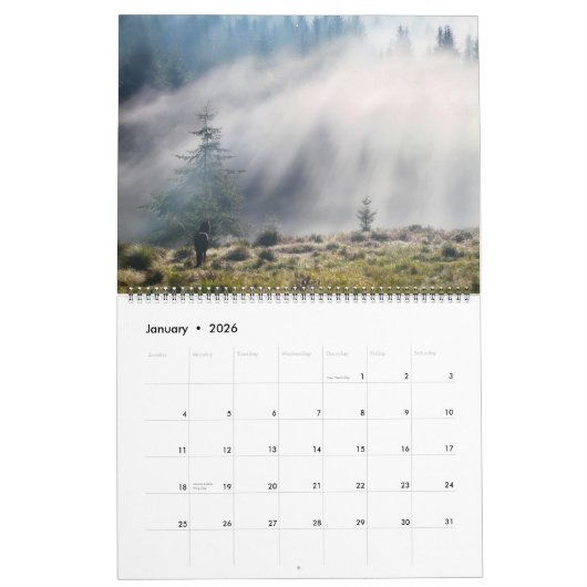 Boyz Forêt - Calendrier Jamais Seul (Jan 2026)