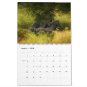 Boyz Forêt - Calendrier Jamais Seul (Mar 2026)
