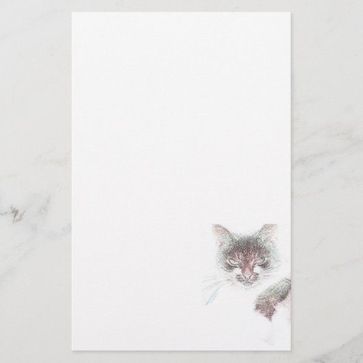 Boze Cute Kattengezicht Schets Briefpapier (Voorkant)