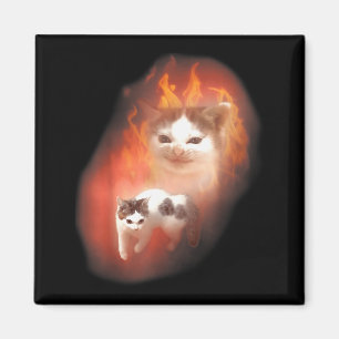 Boze Kat Meme Grappige Domme Kat Kattenliefhebber Magneet