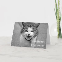 Boze Kat Verjaardagsfeestje Zou Taart Moeten Hebbe