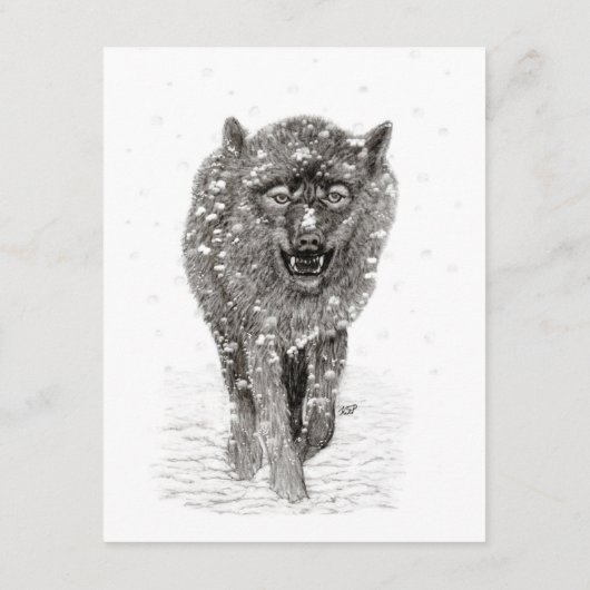 Boze Zwarte Wolf in de Sneeuw, wilde Winter Informatiekaartje (Achterkant)