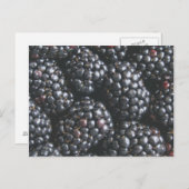 Braambessen Briefkaart (Voorkant / Achterkant)