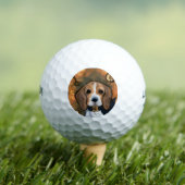 Brabanderse jachthond golfballen (Insitu Shirt)