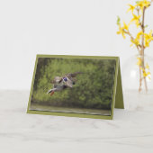 Brace van Ducks Kaart (Gele Bloem)