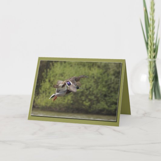 Brace van Ducks Kaart (Voorkant)