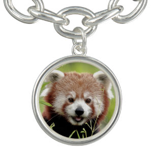 Bracelet Avec Breloques Photo panda rouge, animaux 0613.