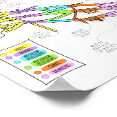Brachial Plexus Poster (Hoek)