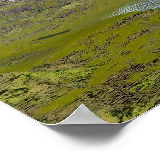 Brachiosaurus dinosaurus in water - 3D rendering Poster (Hoek)