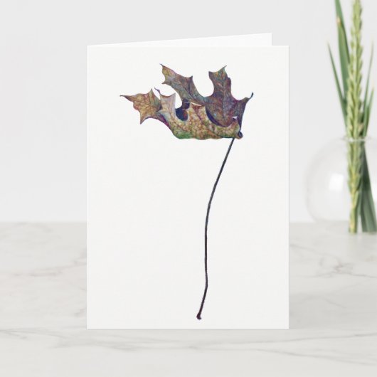 Brachychiton B. australis Leaf Greeting Card Kaart (Voorkant)