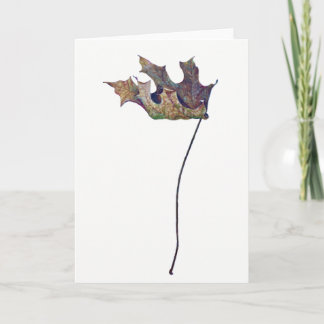 Brachychiton B. australis Leaf Greeting Card Kaart